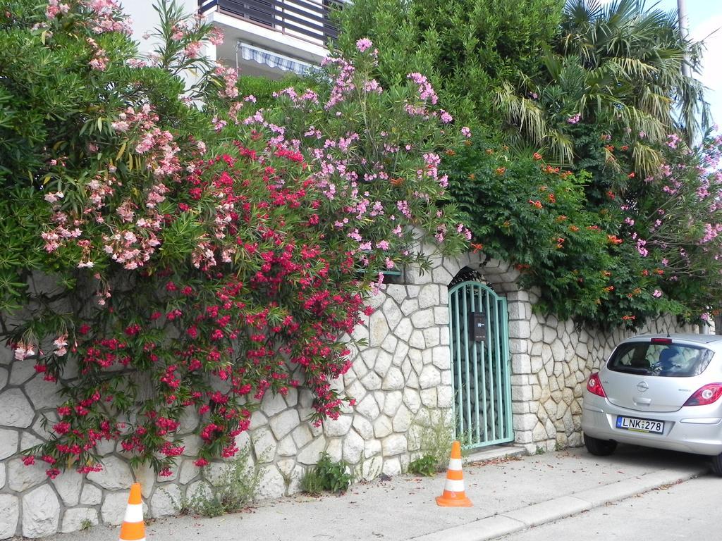 Apartments Katalenic Selce Exterior photo