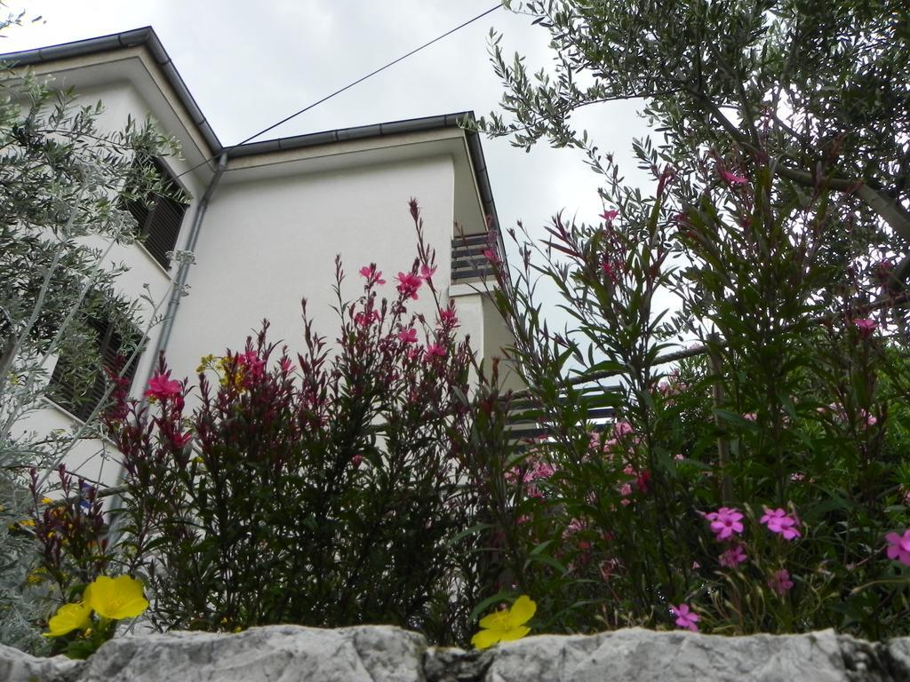 Apartments Katalenic Selce Exterior photo