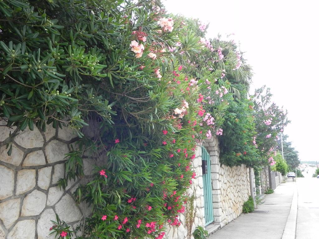 Apartments Katalenic Selce Exterior photo