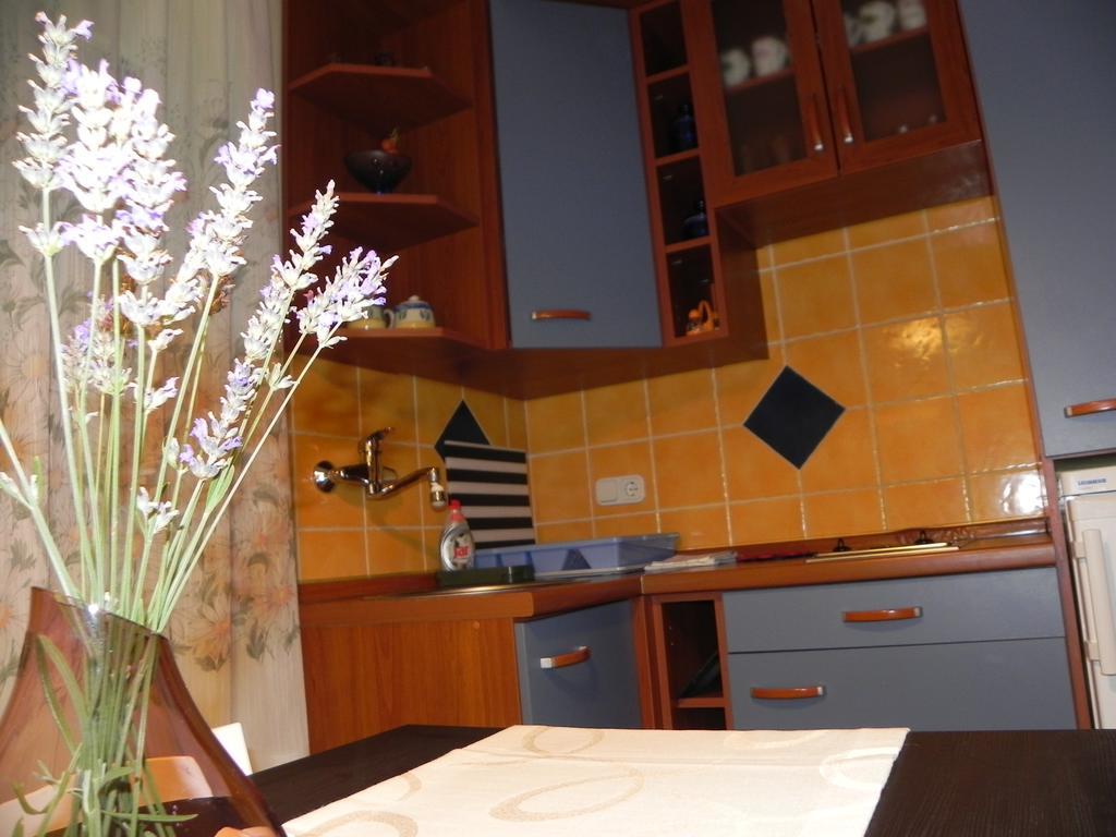 Apartments Katalenic Selce Exterior photo