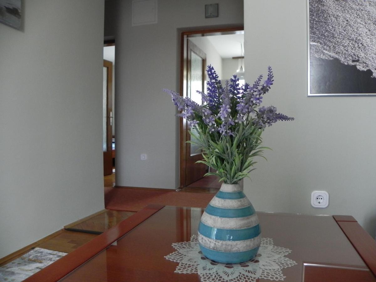 Apartments Katalenic Selce Exterior photo
